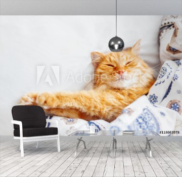 Picture of Cute ginger cat lying in bed under a blanket Fluffy pet comfortably settled to sleep Cozy home background with funny pet Flat lay Top view place for text